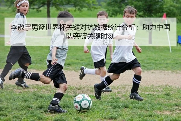 李敬宇男篮世界杯关键对抗数据统计分析：助力中国队突破关键时刻
